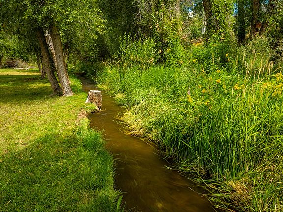 Stream runs along the backyard property. Lovely to listen to at night below the Master bedroom