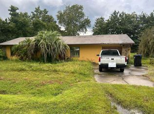 4064 Papaya St, Orlando, FL 32822