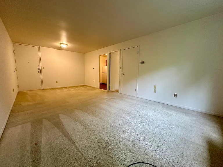 Brett Manor — Photo 5