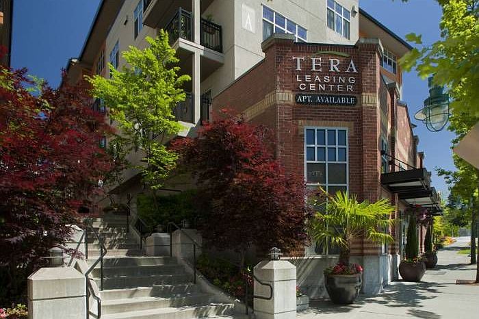 Tera Office Open 7 Days