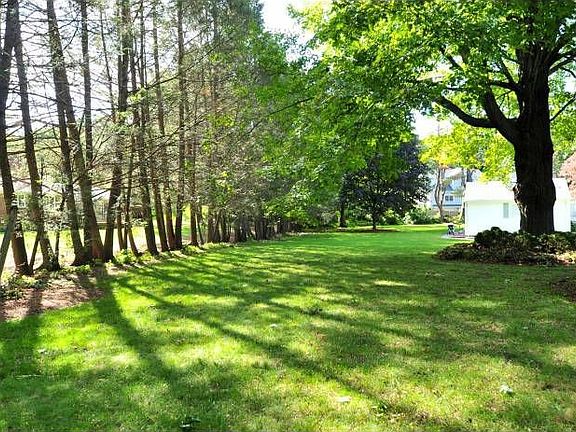 Backyard 2