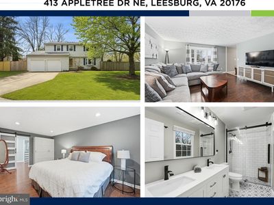 413 Appletree Dr NE, Leesburg, VA, 20176