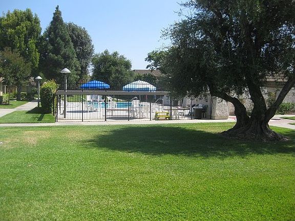 Pool area and gren area