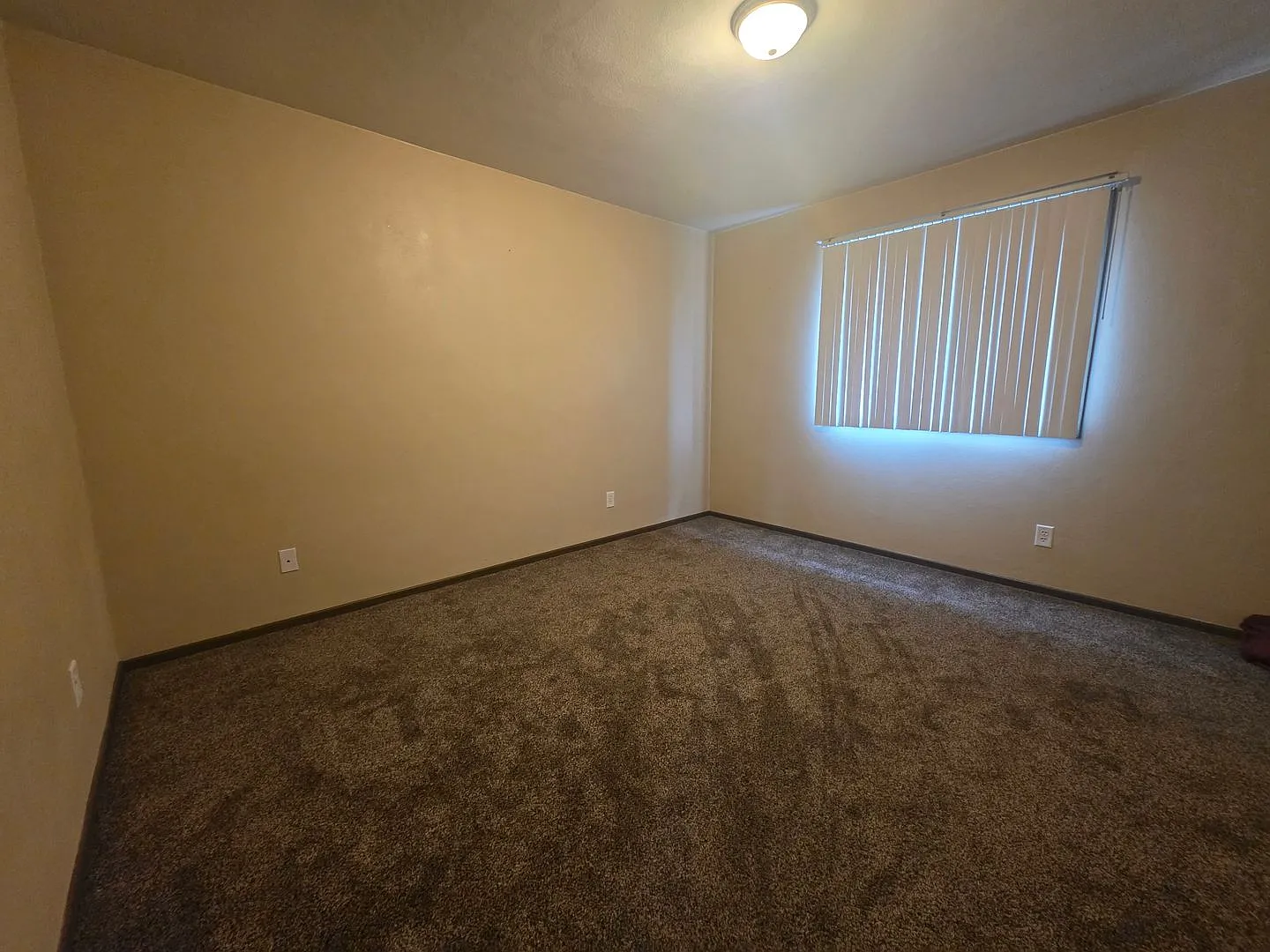 Joan Drive — Photo 3