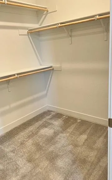 435 Avendale Dr — Photo 14