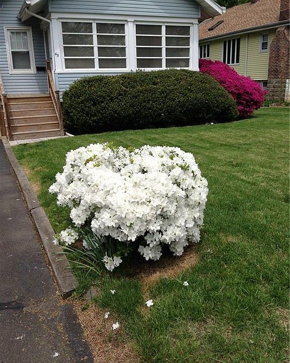 1st image of 45 Hunt Ave