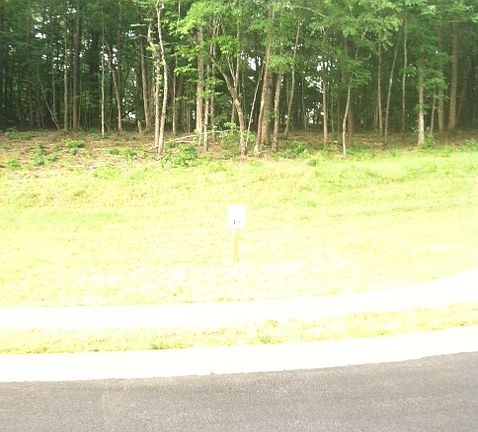 Lot 45  High elevation