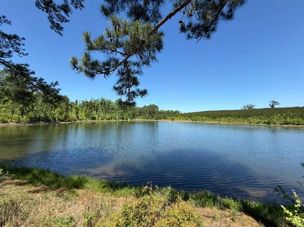 0 County Road 222, Abbeville, AL 36310