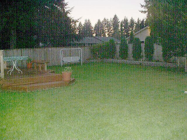 Backyard