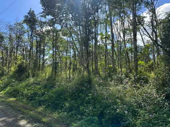 14-3522 Pakalana Rd Lot 312, Pahoa, HI 96778