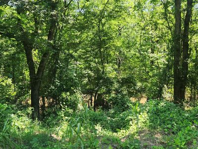 0 Bailey Rd, Star City, AR, 71667