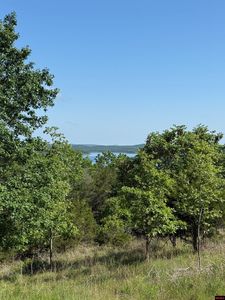 730 Mc #8097, Yellville, AR, 72687