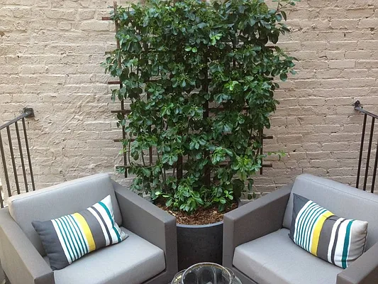 Rented by Bold New York | media 20