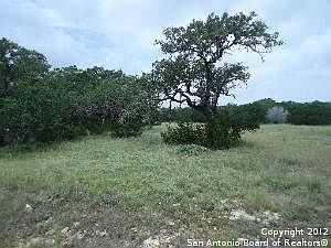 3rd image of 30485 Longhorn Trl