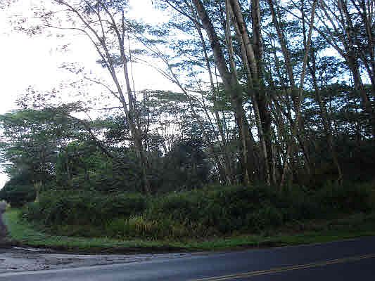 2nd image of Paradise Dr Lot 573
