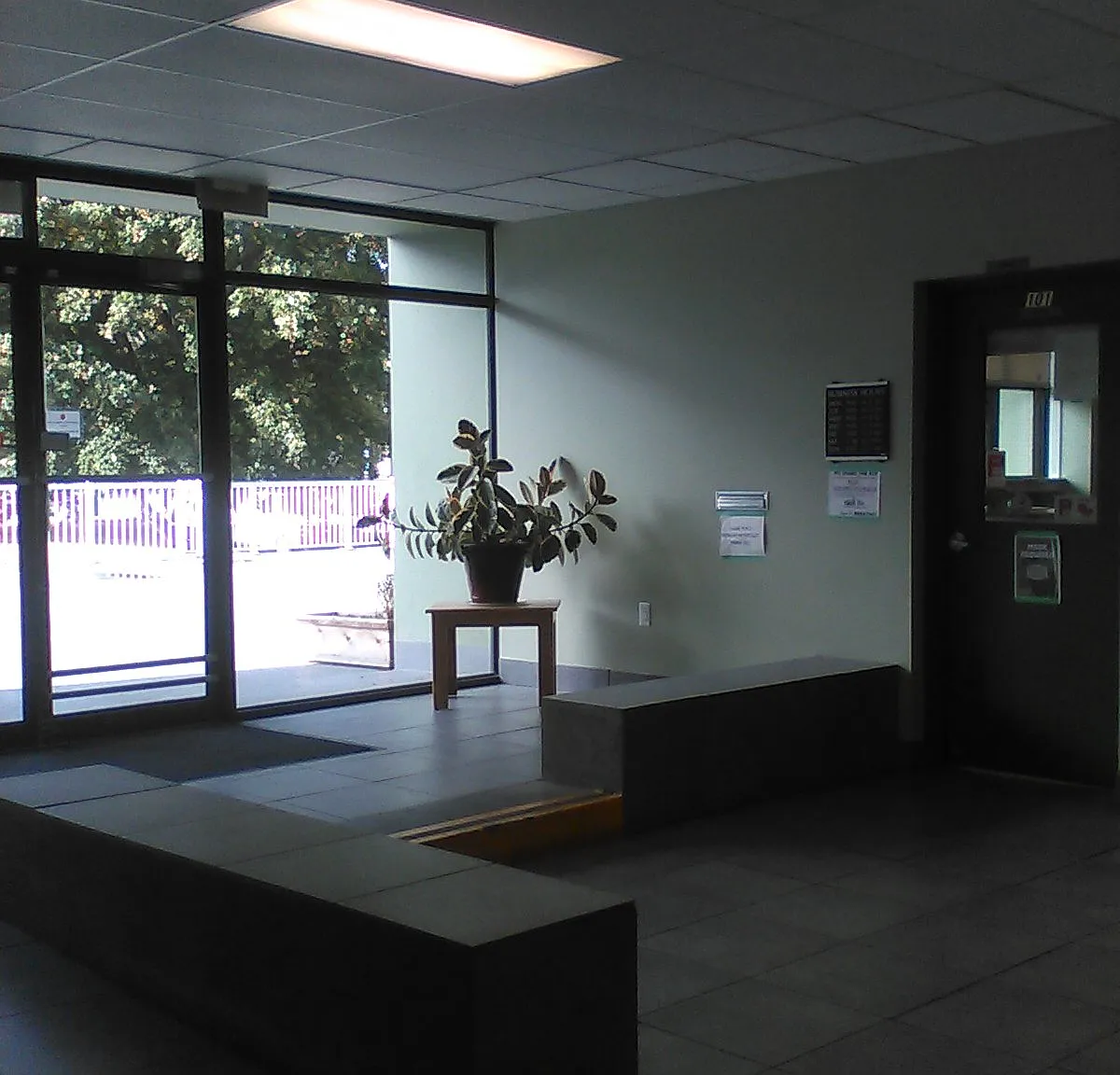 1147 Quadra St — Photo 3