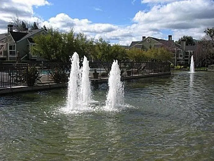 2 bed, 950 sqft, $2,900 — Photo 4