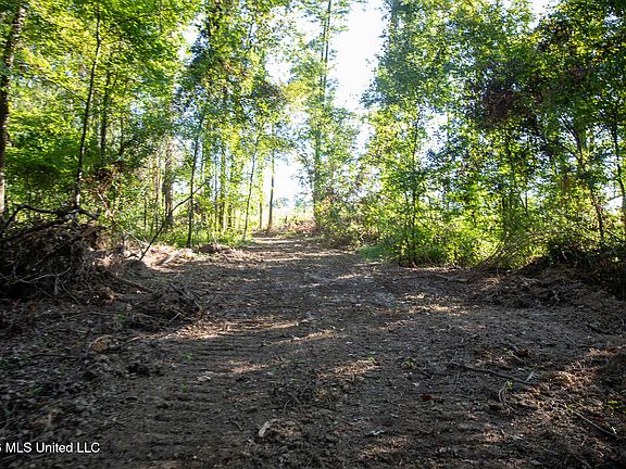 2nd image of Owen Boone Rd