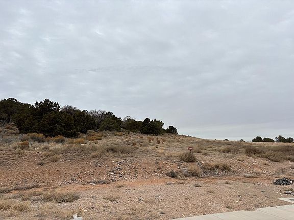 3rd image of 1616 S Mountain Ranch Rd