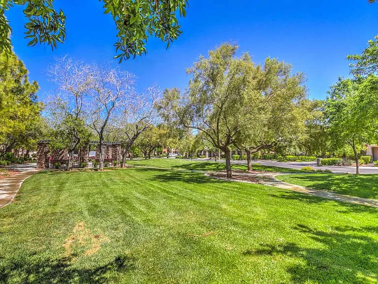 10517 Howling Coyote Ave — Photo 33