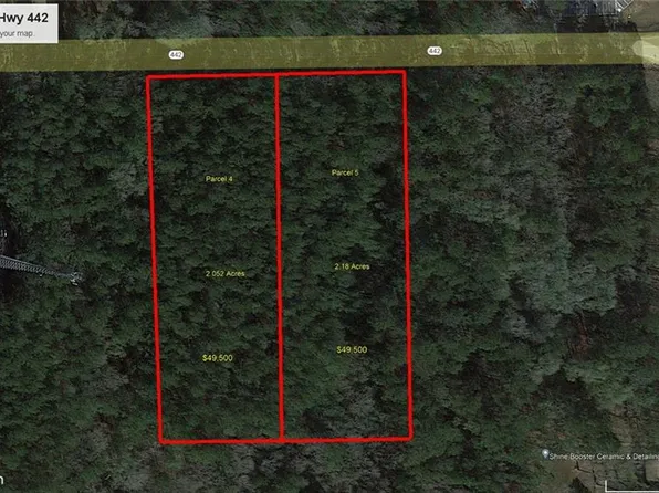 PARCEL 5 Highway 442, Albany, LA 70711