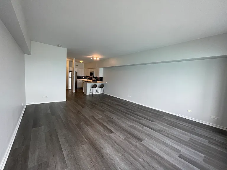 175 E Delaware Pl #5004 — Photo 10