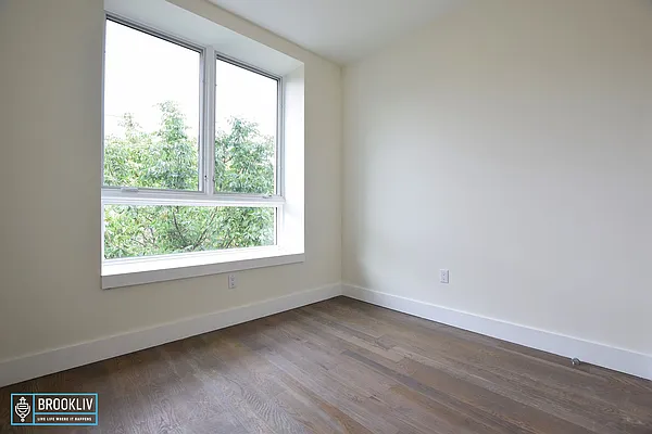 Rented by null | media 5