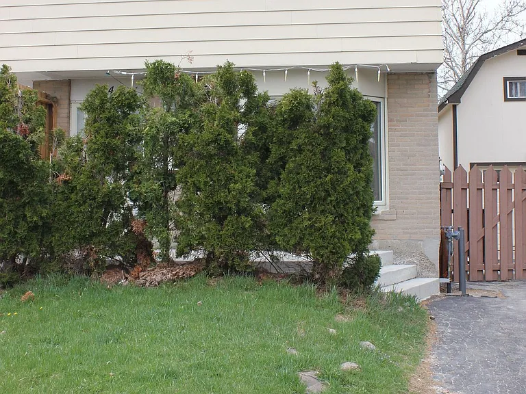 24 Griselda Ct — Photo 7