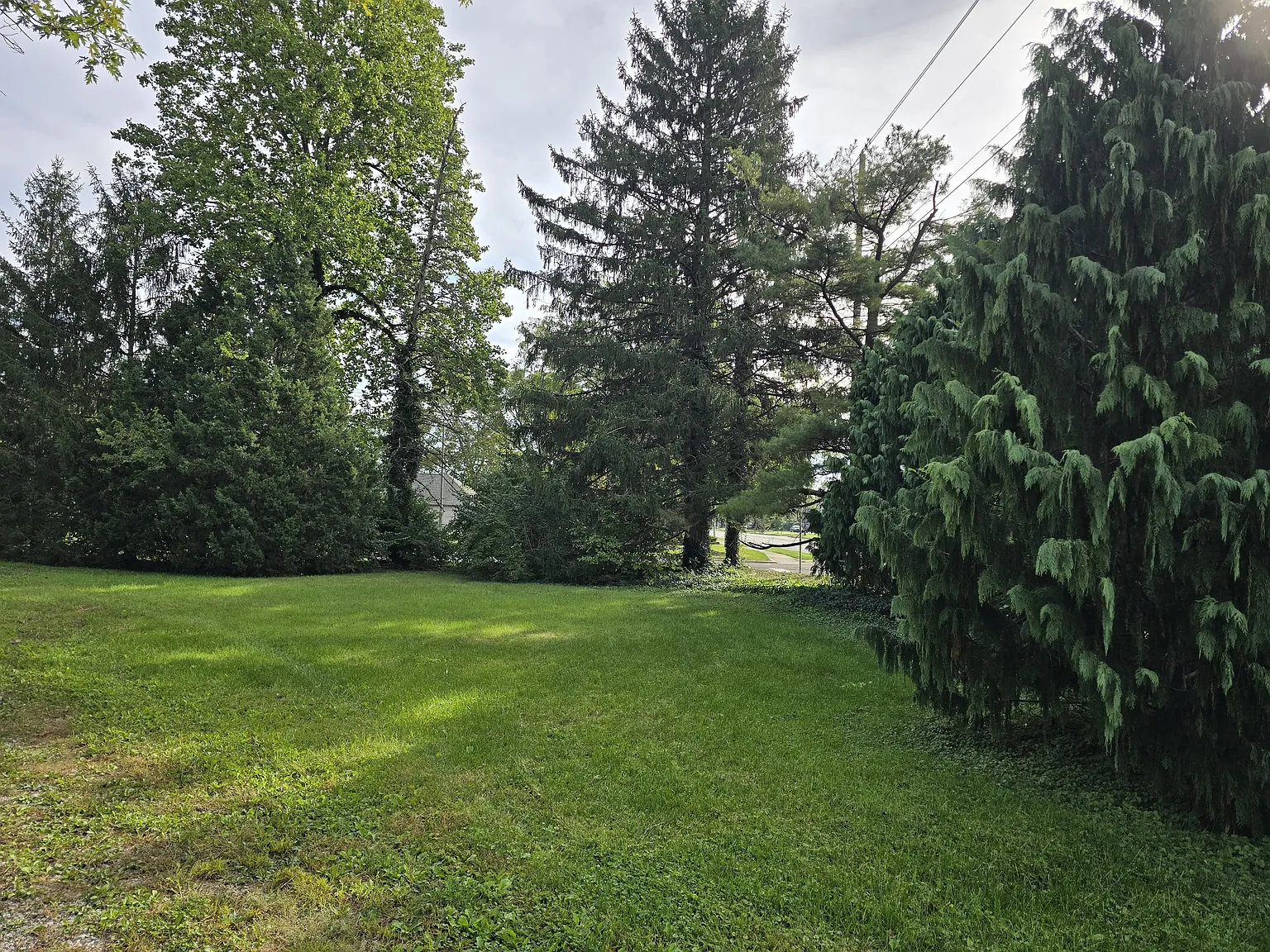 3 bed, 1322 sqft, $1,800 — Photo 2