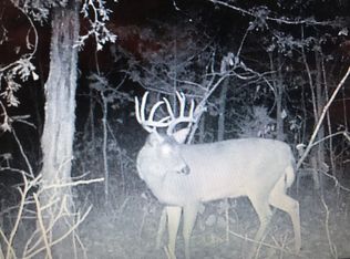 11652 State Route 21, Hillsboro, MO 63050