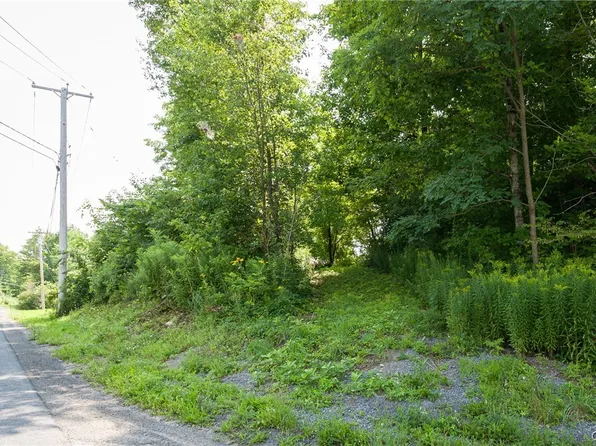 Depot St Lot 57, Natural Bridge, NY 13665