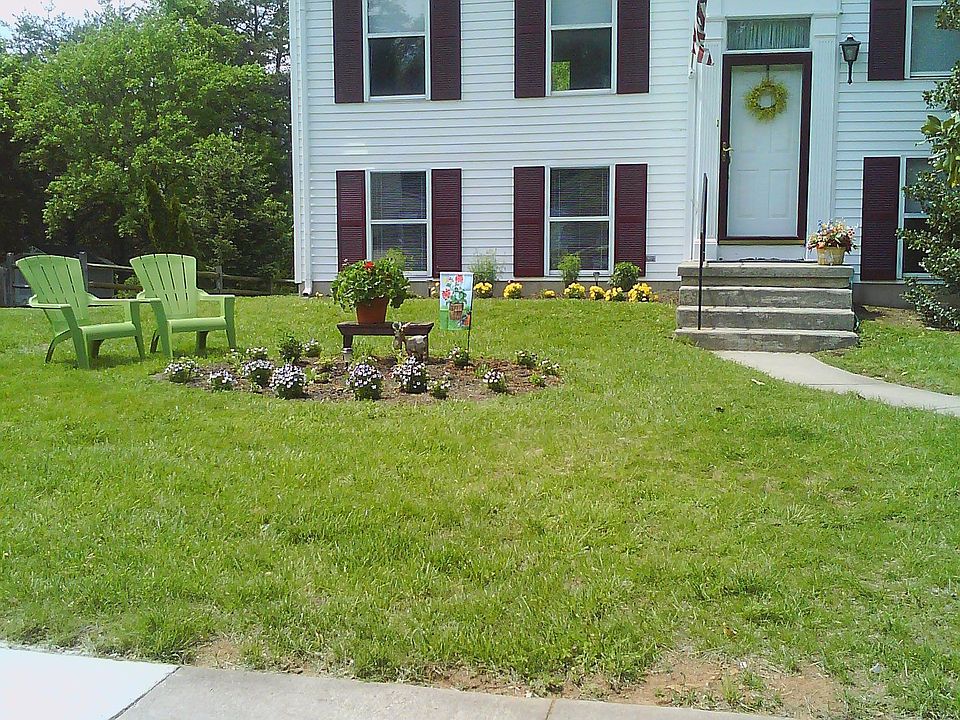 Curbside View
