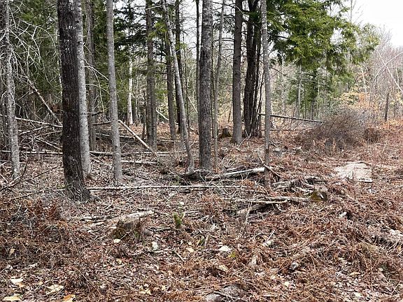 5th image of 27-1 HAYES