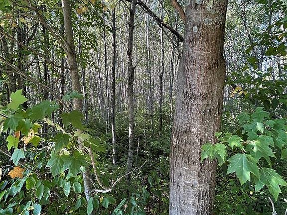 4th image of Near Town Line Road