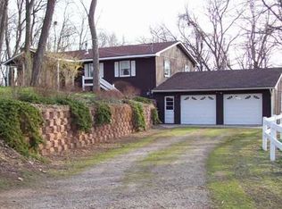 3741 Silver Fox Dr, Chelsea, MI 48118