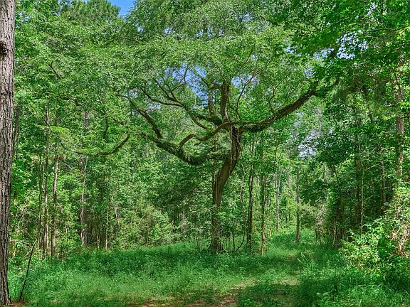 3rd image of TRACT Sharp Rd #C