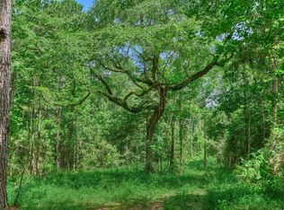 TRACT Sharp Rd #C, Montgomery, TX 77356