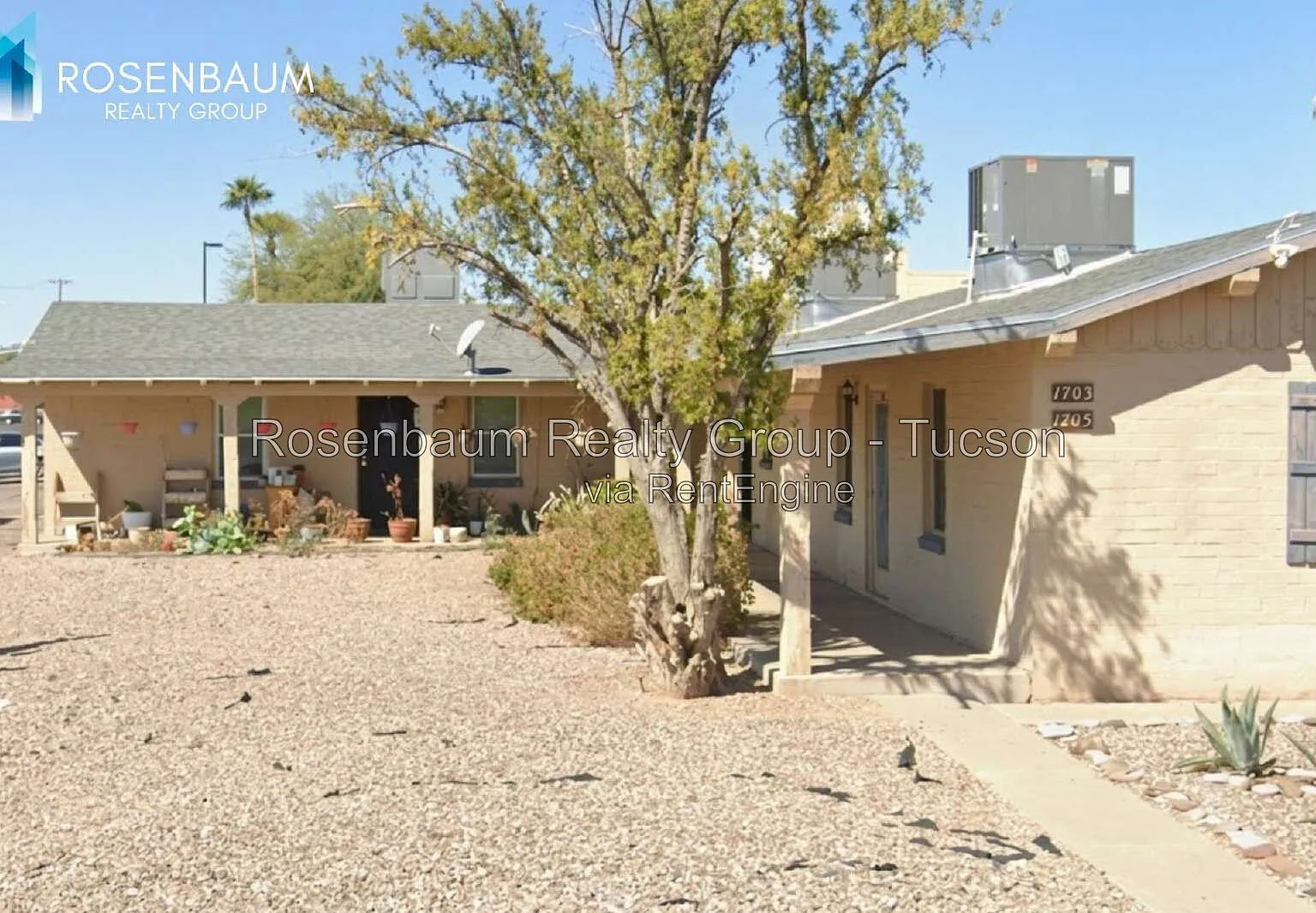 1 bed, 1.0 bath, 600 sqft, $799 — Photo 2