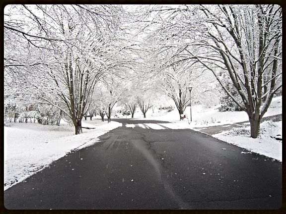 House is on the left