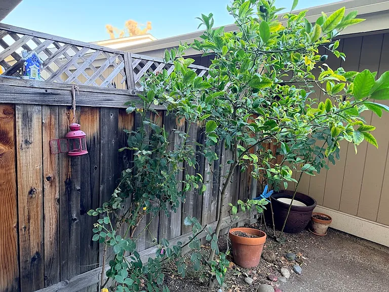 816 Juno Ln — Photo 21