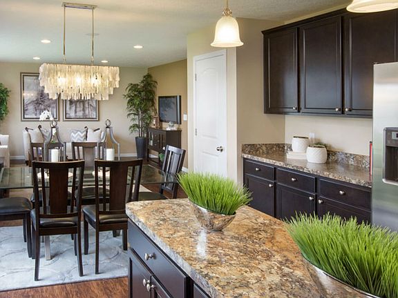 Model Representation