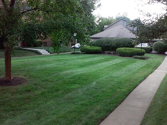 View of boulevard between buildings