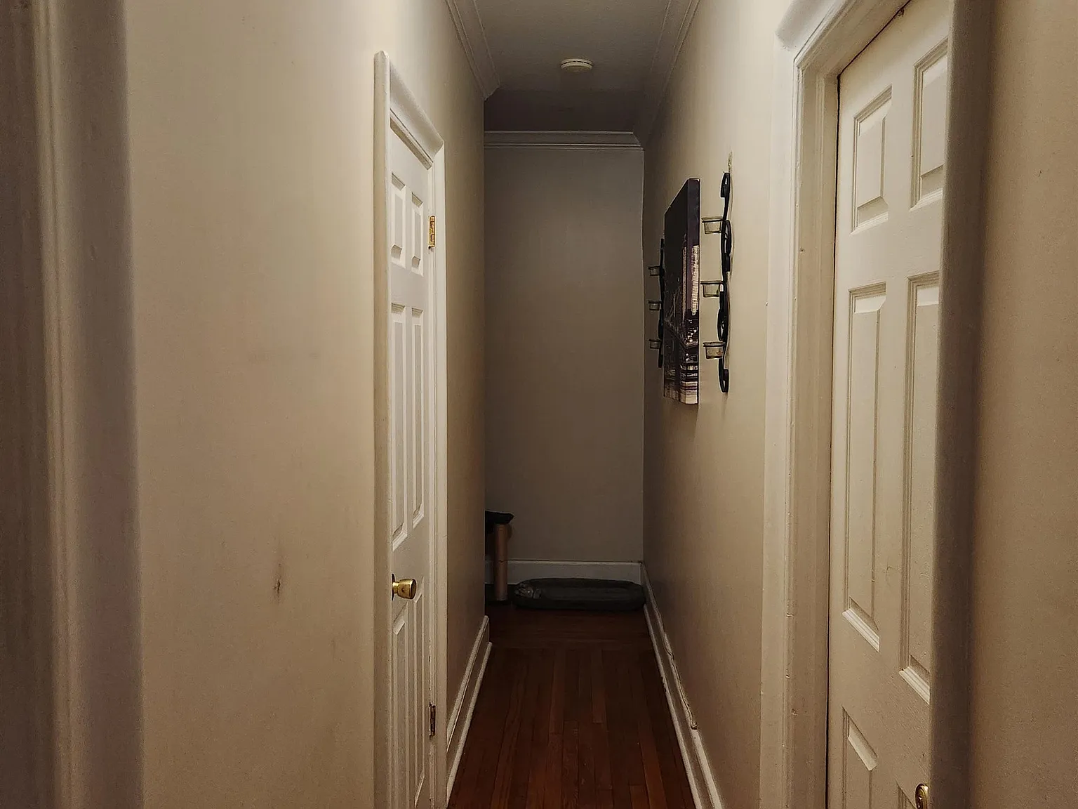 2 bed, 1.0 bath, 911 sqft, $2,350 — Photo 2