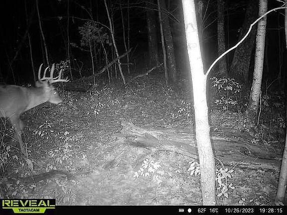 4th image of W8698 Lupine Ln