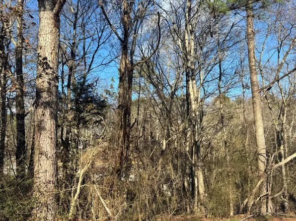 7129 Fine Ln, Harrison, TN 37341