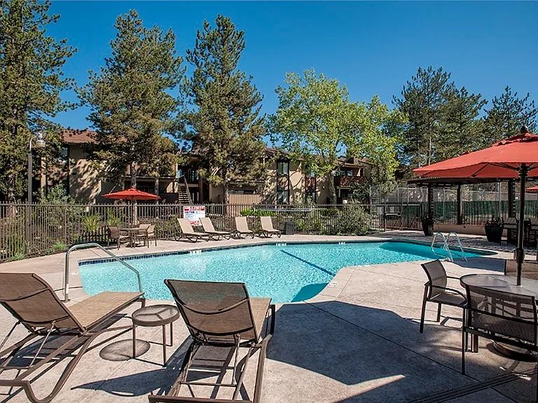 Pool & Spa