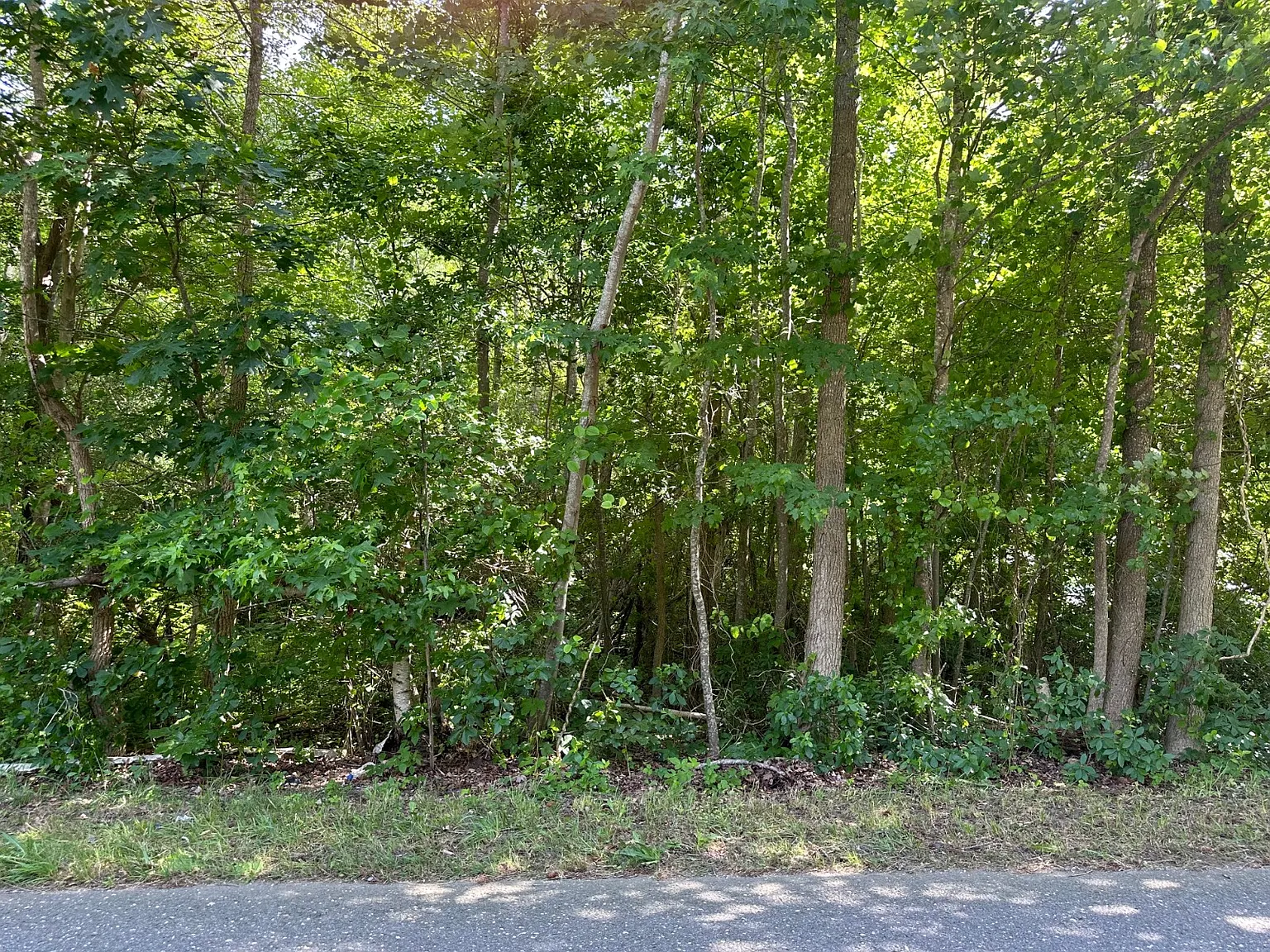 2183 Route 88 photo 1