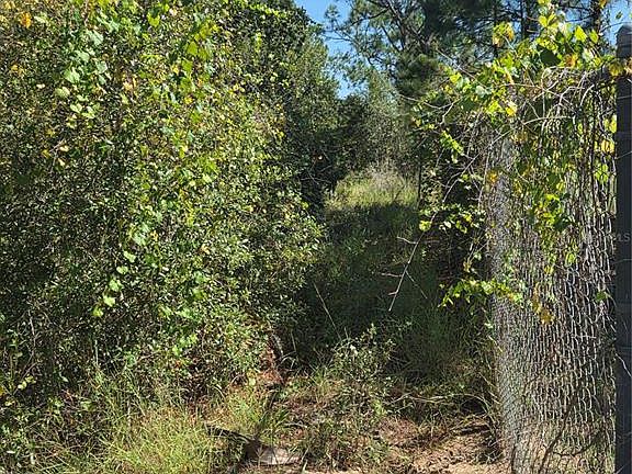 5th image of DEER ROAD