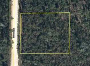 Edison Avenue Lot #19, Alford, FL 32420