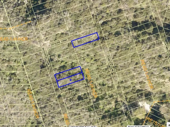 2420 N Bushrod Ln, Los Angeles, CA 90077